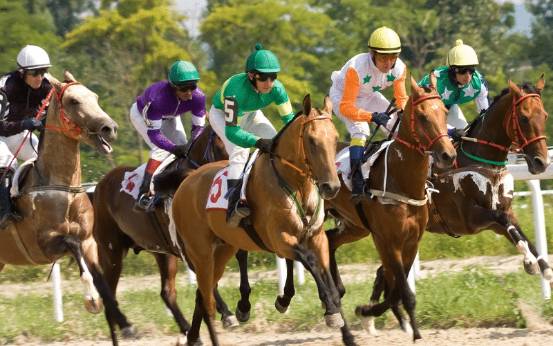 Horse Racing