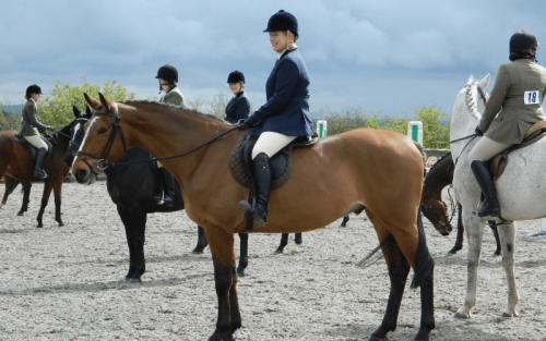 Who Invented Equestrian?