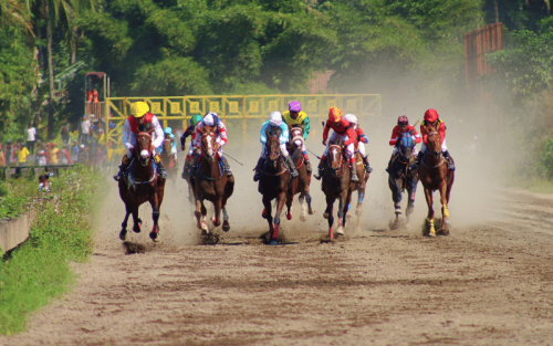 Who Invented Horse Racing?