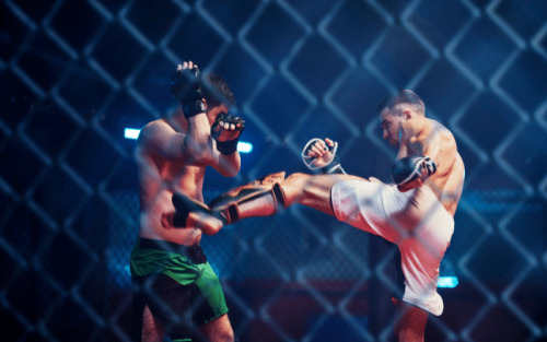 Who Invented Mixed Martial Arts?
