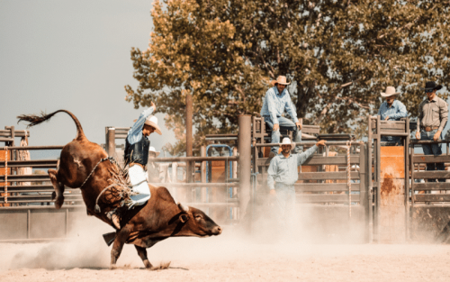 Who Invented Rodeo?