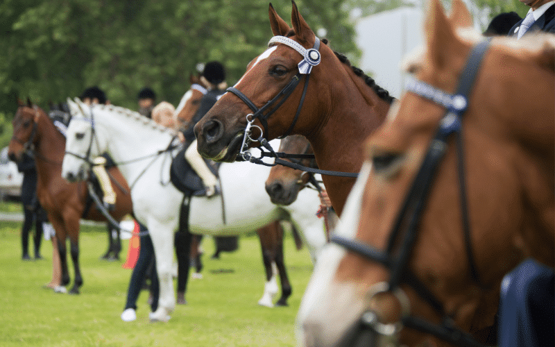 National Sport of Argentina