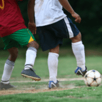 National Sport of Cameroon