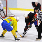 National Sport of Czech Republic