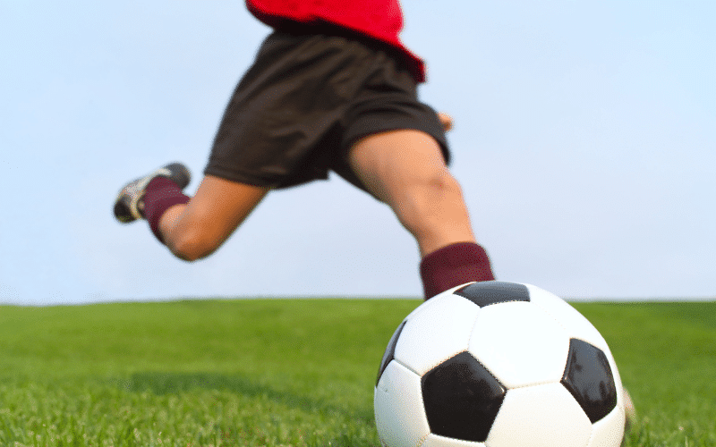 National Sport of Iran