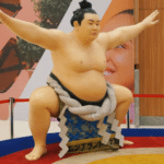 National Sport of Japan