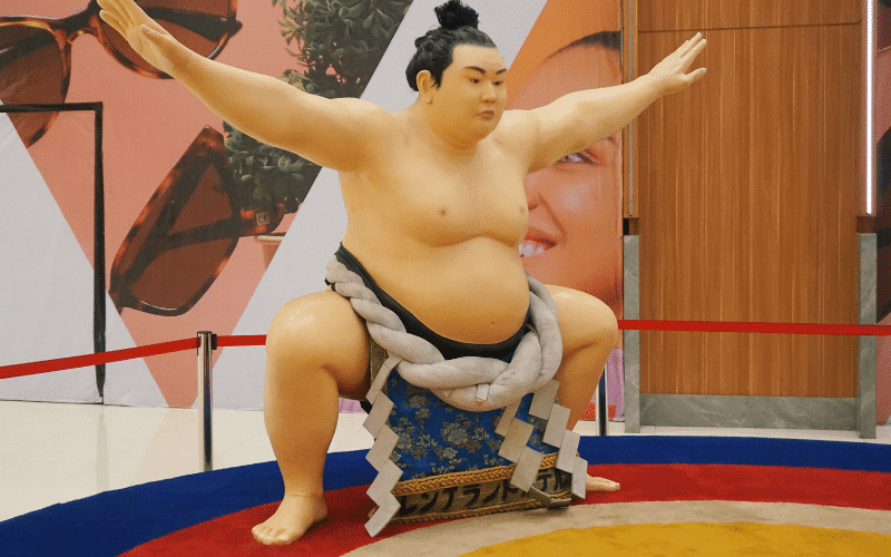 National Sport of Japan