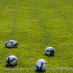 National Sport of New Zealand