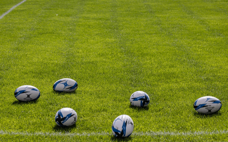 National Sport of New Zealand