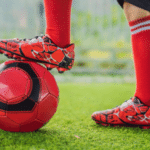 National Sport of Tunisia