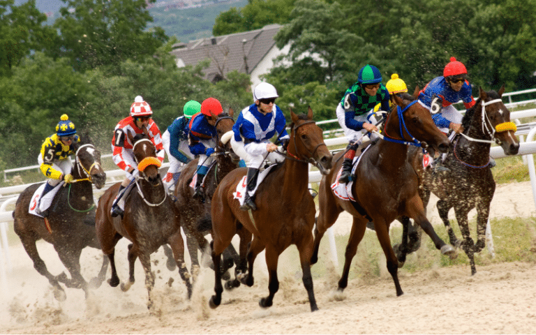 Best Horse Racing YouTube Channels