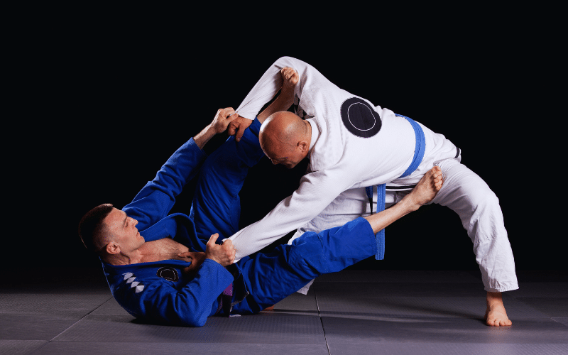 Best Brazilian Jiu-Jitsu Fighters
