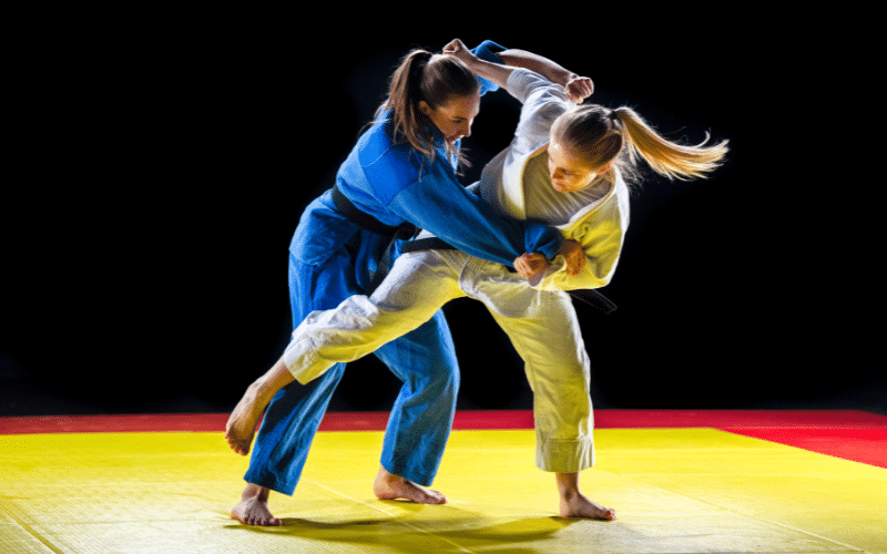 Best Judo Fighters