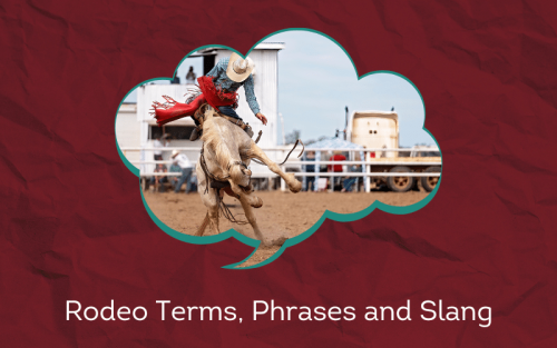 30 Must-Know Rodeo Terms, Phrases and Slang