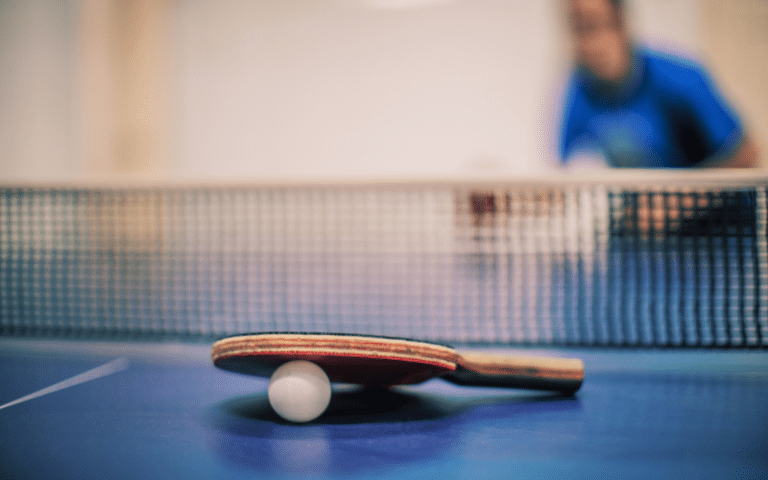 Best table tennis Players