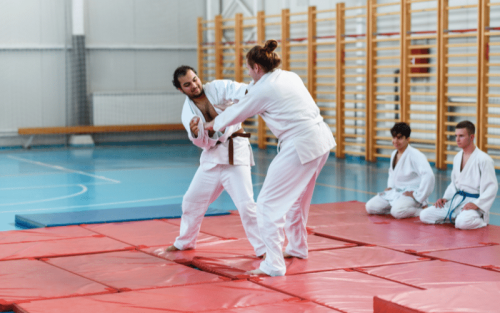 11 Countries Where Judo is Most Popular (Ranked)