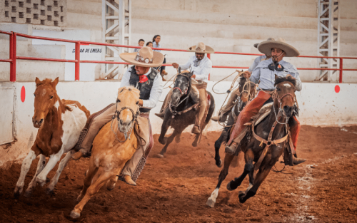 11 Countries Where Rodeo is Most Popular (Ranked)