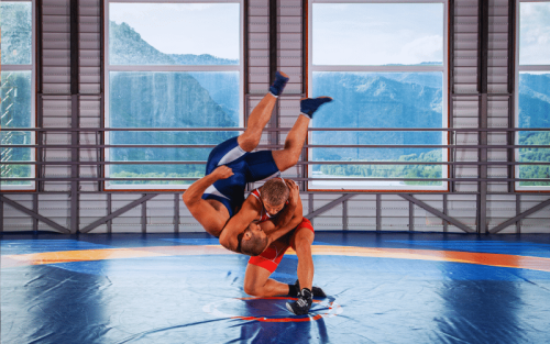 11 Countries Where Wrestling is Most Popular (Ranked)