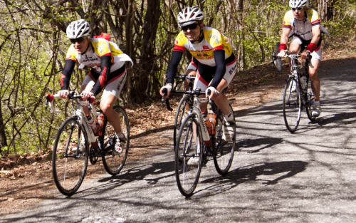 11 Countries Where Cycling is Most Popular (Ranked)