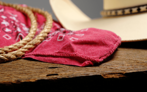 Top 10 Best Brands for Rodeo in the World