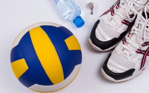 Top 10 Best Brands for Volleyball in the World