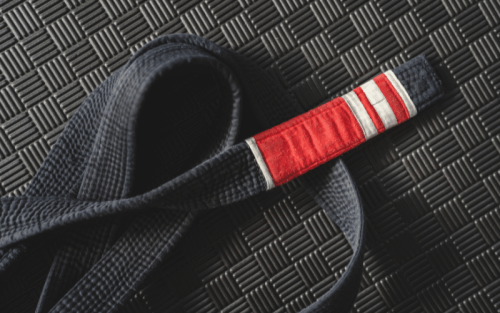 Top 11 Best Brands for Brazilian Jiu-Jitsu in the World