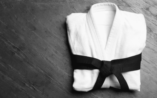 Top 11 Best Brands for Karate in the World