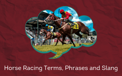 30 Must-Know Horse Racing Terms, Phrases and Slang