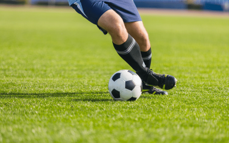 Most Popular Athletes from Croatia