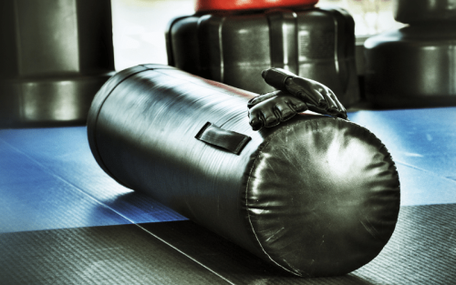 Top 11 Best Brands for Mixed Martial Arts in the World