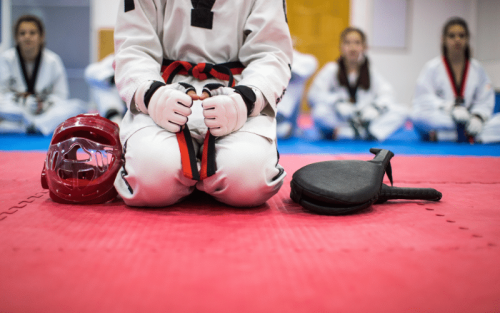 Top 11 Best Brands for Taekwondo in the World